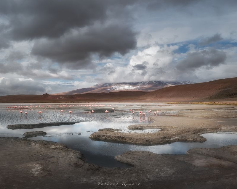 Лагуна Эдионда. Перед дождем. Боливия фото превью