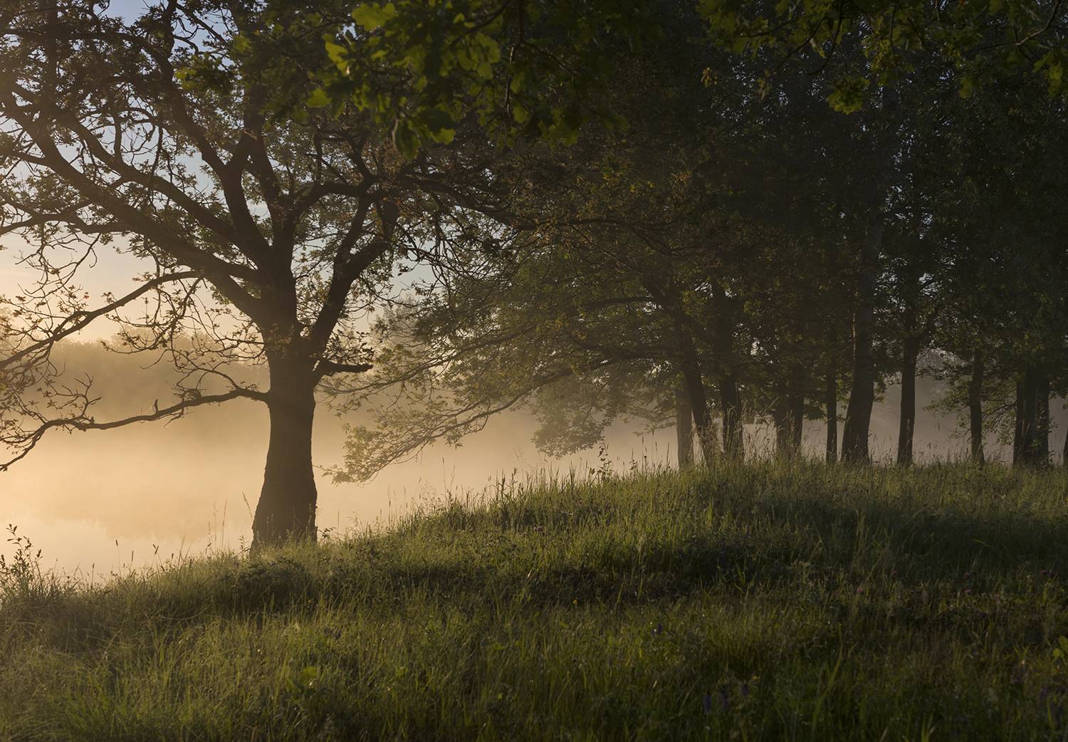 , Волоцков Александр