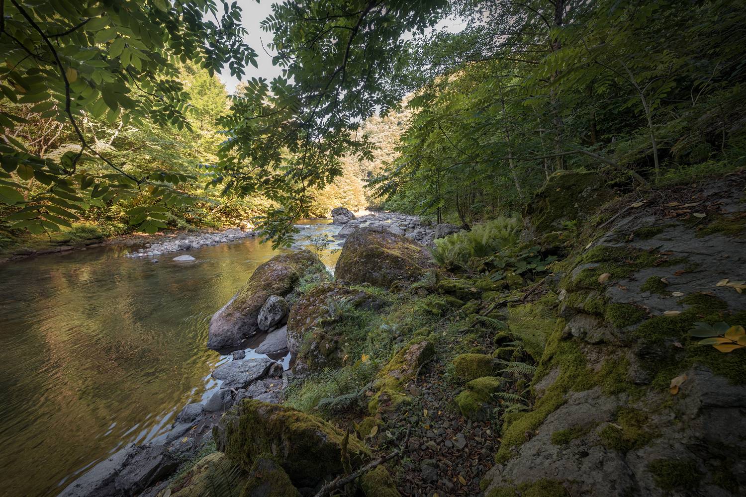 сhakvistskali, river, mtirala, mountains, forest, jungles, nature, landscape, scenery, travel, outdoors, georgia, sakartvelo, adjara, chizh, Чиж Андрей