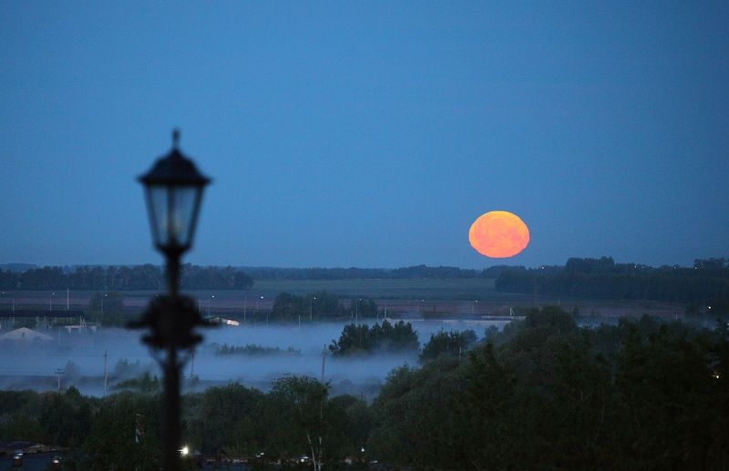 ............... фото превью