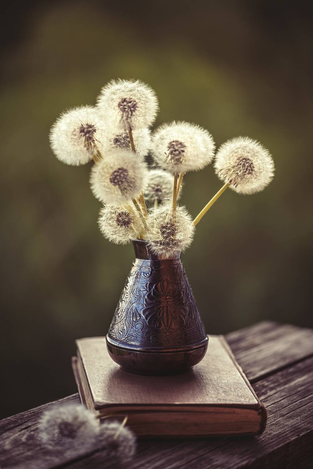 , Рагинская Ольга