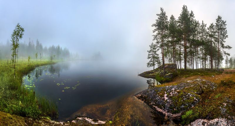 Туманное утро фото превью