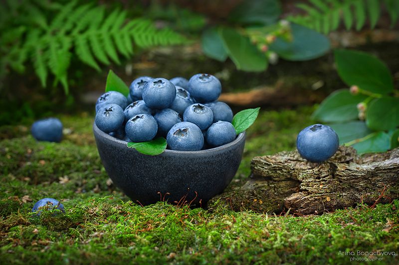 *** фото превью