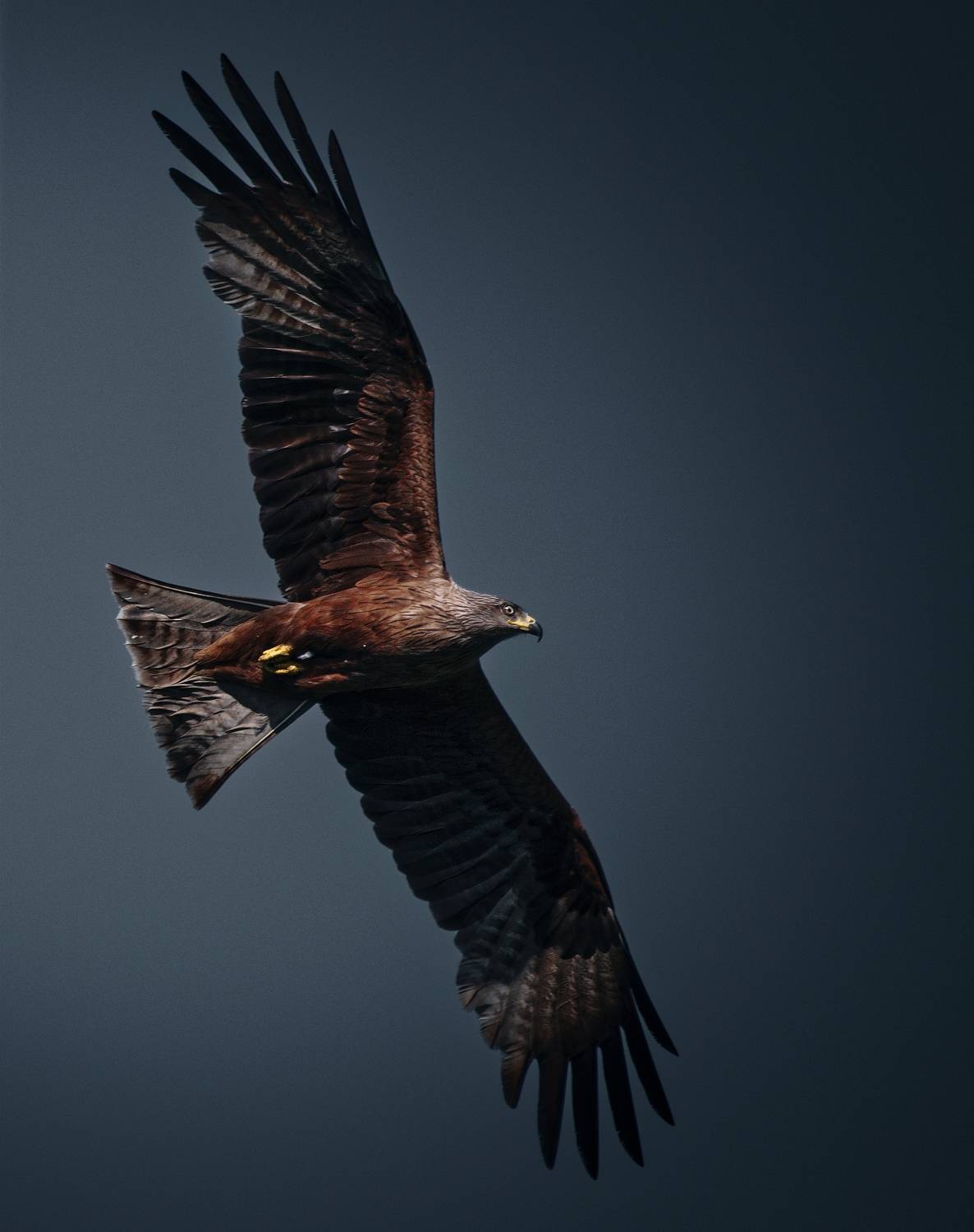 , Фото Александр