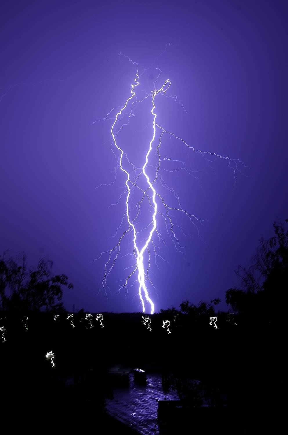 , Раевская Елена