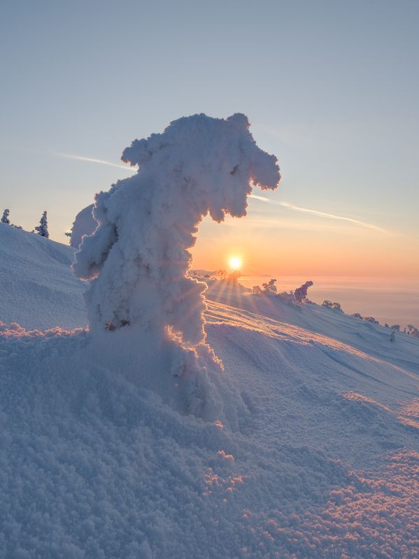 Снежный динозавр фото превью