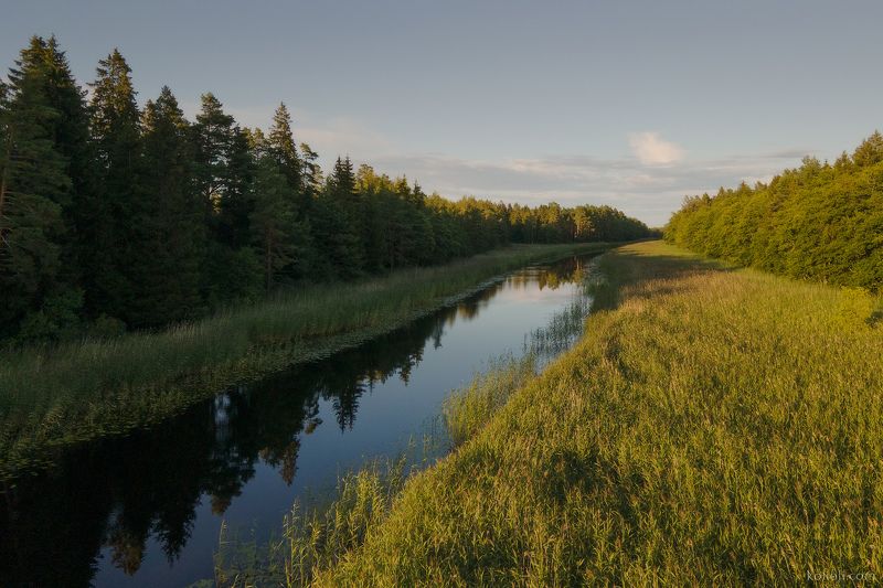 кургальский заказник, ленинградская область, финский залив, экологический маршрут, экотропа, лебеди Кургальский заказник - II фото превью