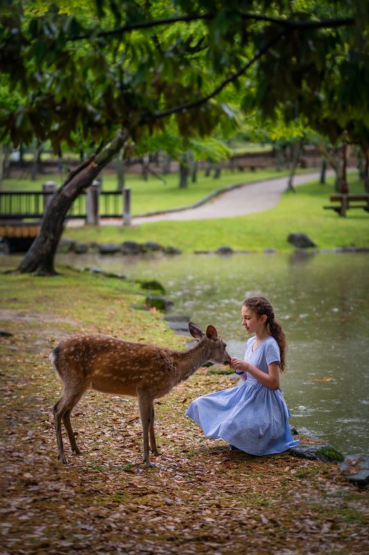 Однажды в Японии фото превью