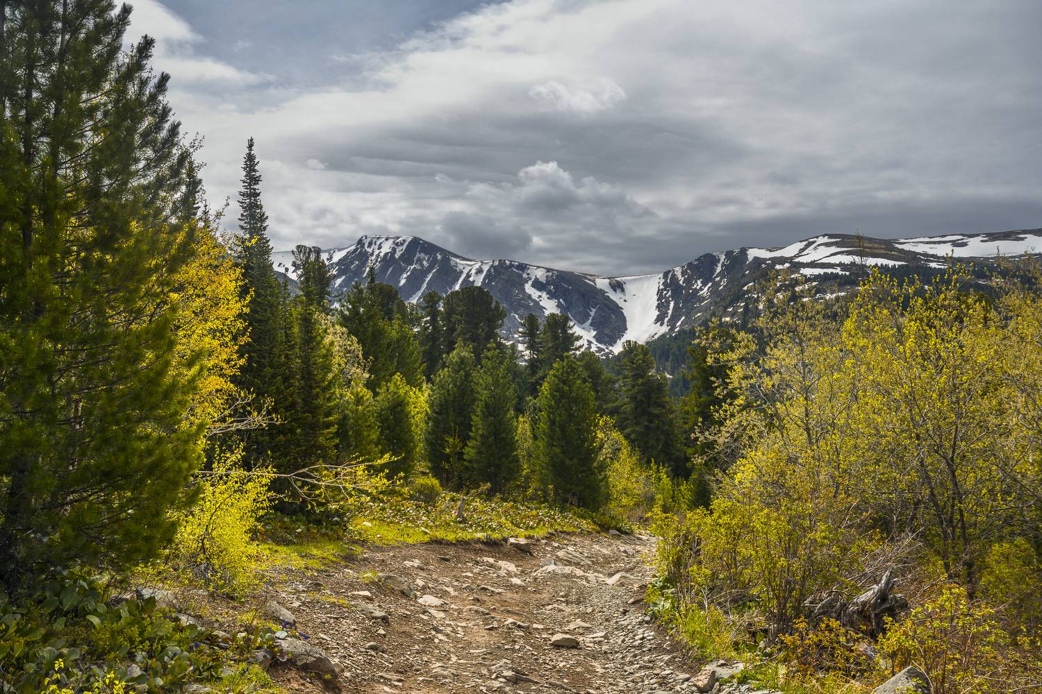россия, горный алтай, Андрей Поляков