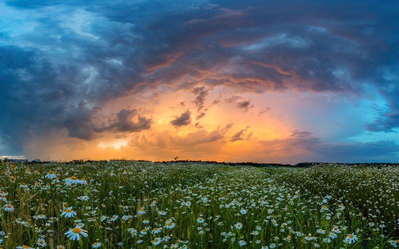 storm, sky, cloudy, clouds, flowers Storm фото превью