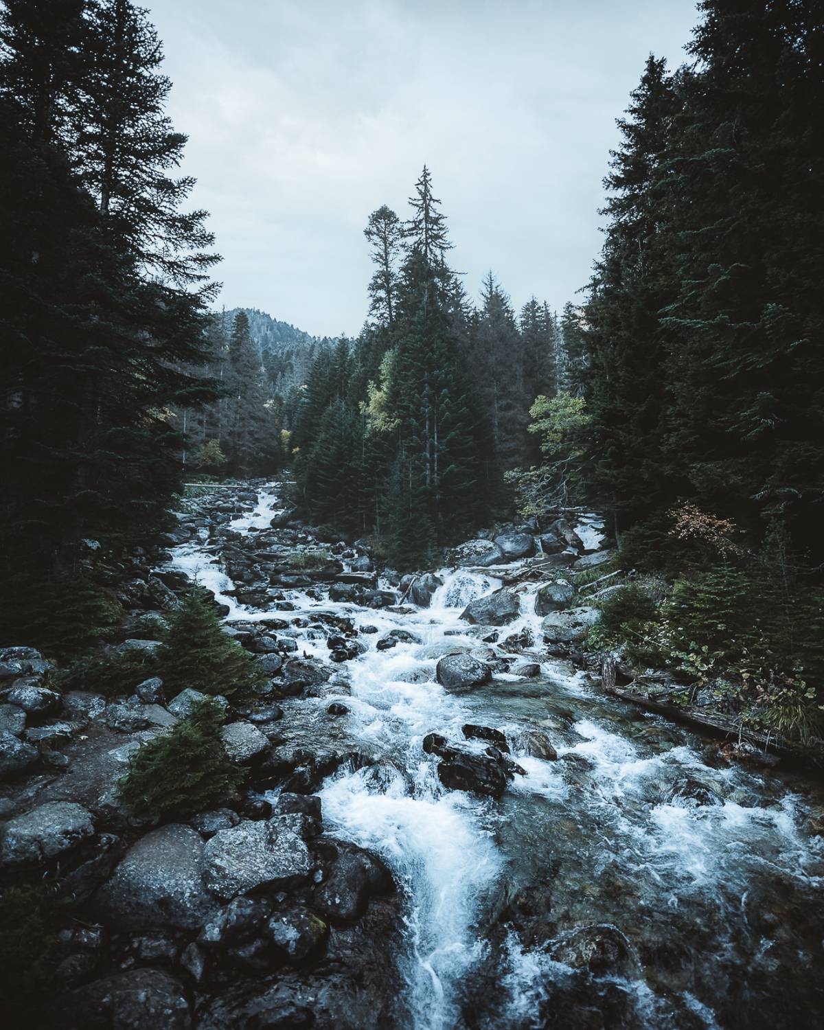 , Слава Азаров