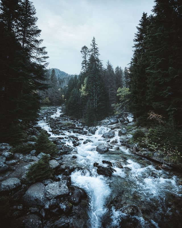 Островок на горной реке фото превью