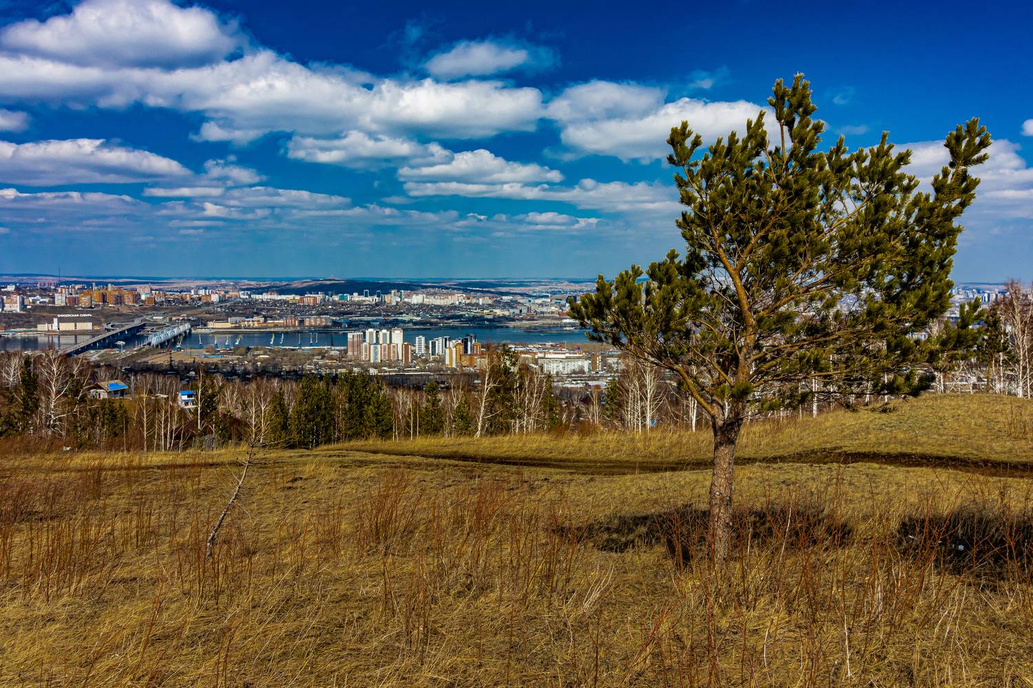 , Лапин Сергей