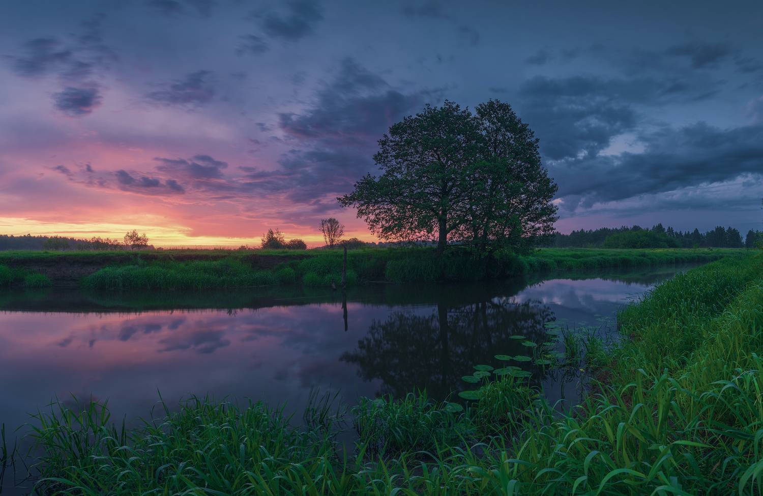 , Левыкин Виталий