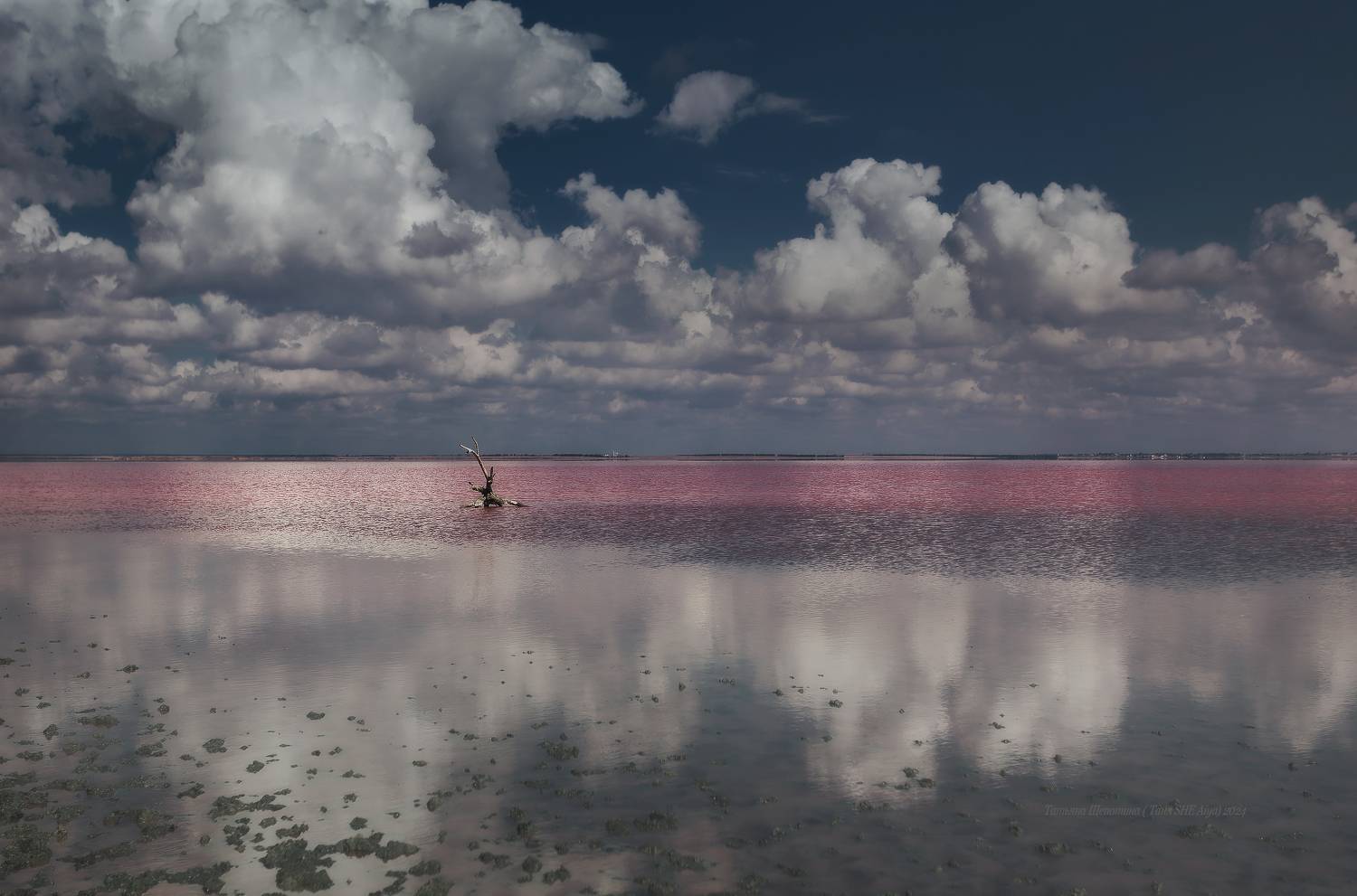 сасык сиваш, крым, пейзаж, розовое озеро, crimea, landscape, крымский пейзаж, евпатория, Щепотина Татьяна