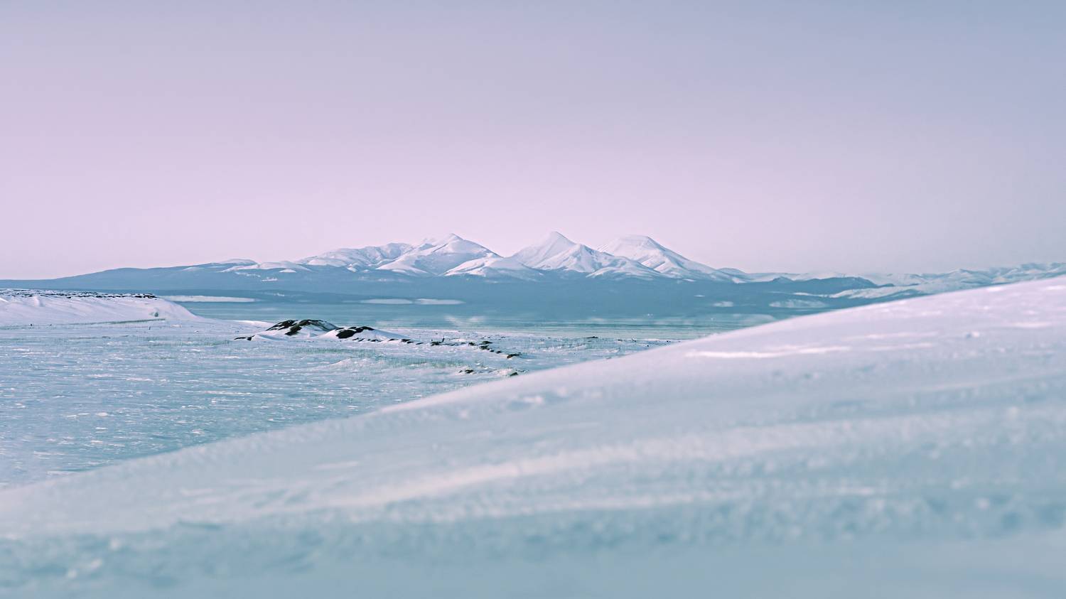 , Антон Сидоров