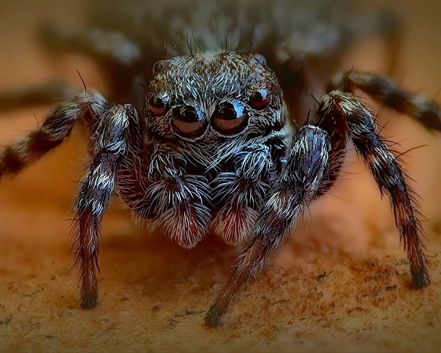 , Кузнецов Дмитрий