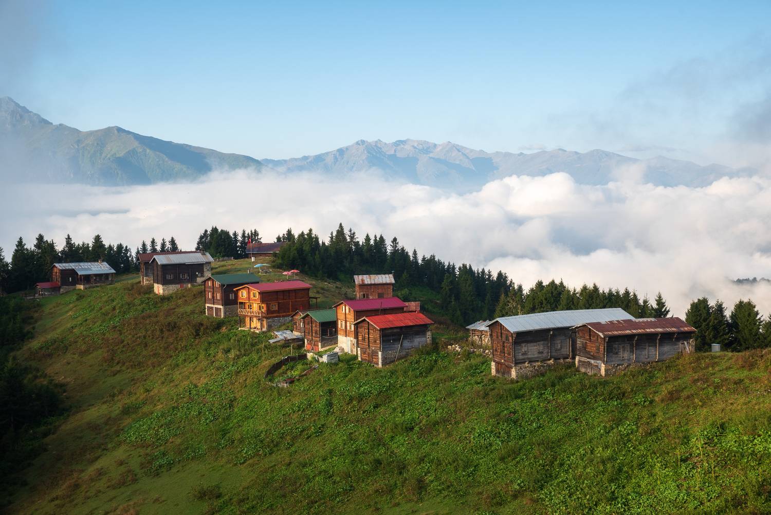 , Рагинская Ольга