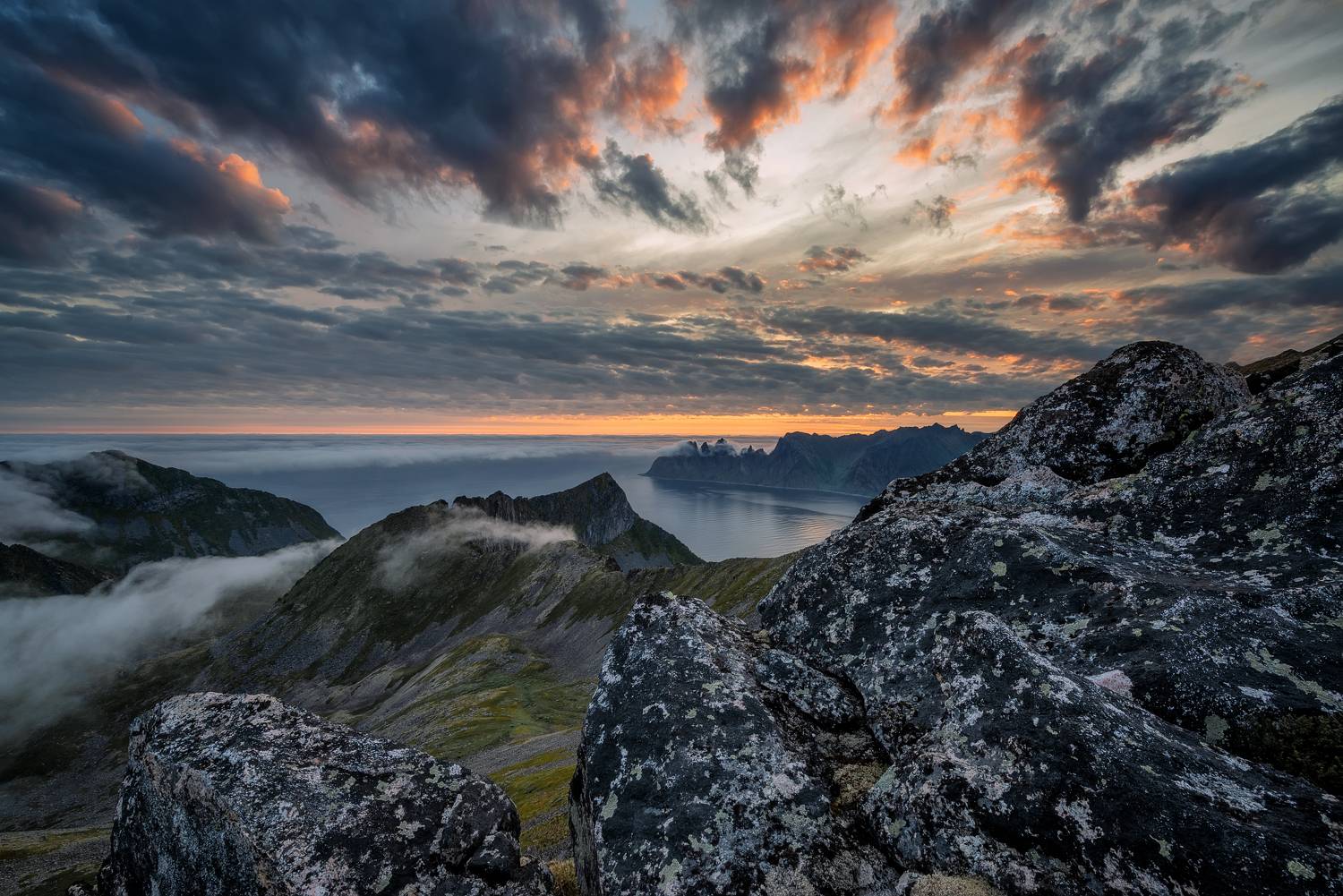 , Максим Евдокимов