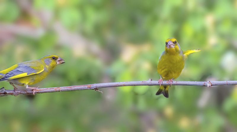 Замри,нас снимают. фото превью