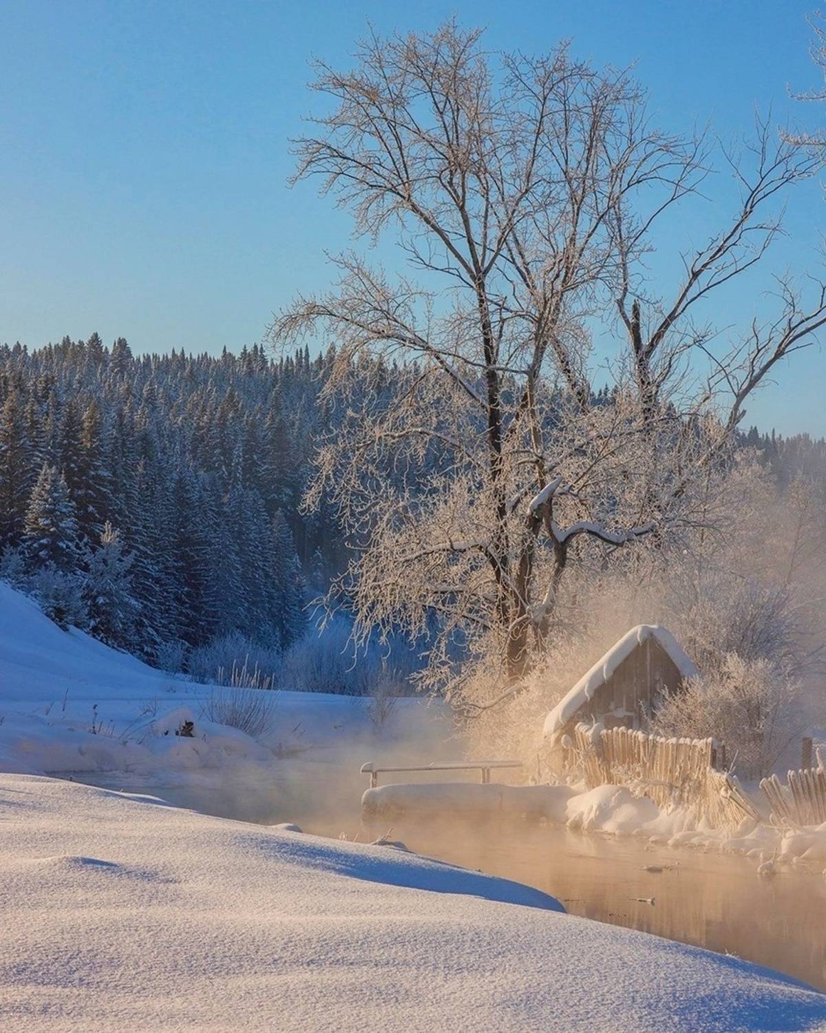 , Петр Косых