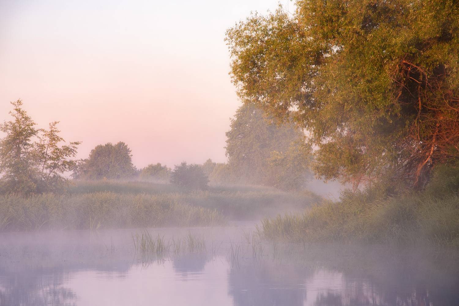 лето, церковь, владимирская область, рассвет, филипповское, шерна, Петрова Анастасия