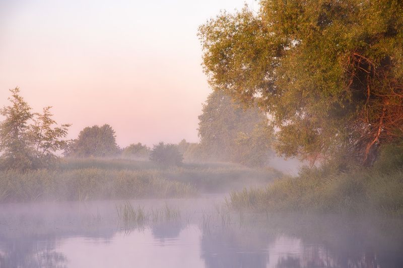 лето, церковь, владимирская область, рассвет, филипповское, шерна *** фото превью