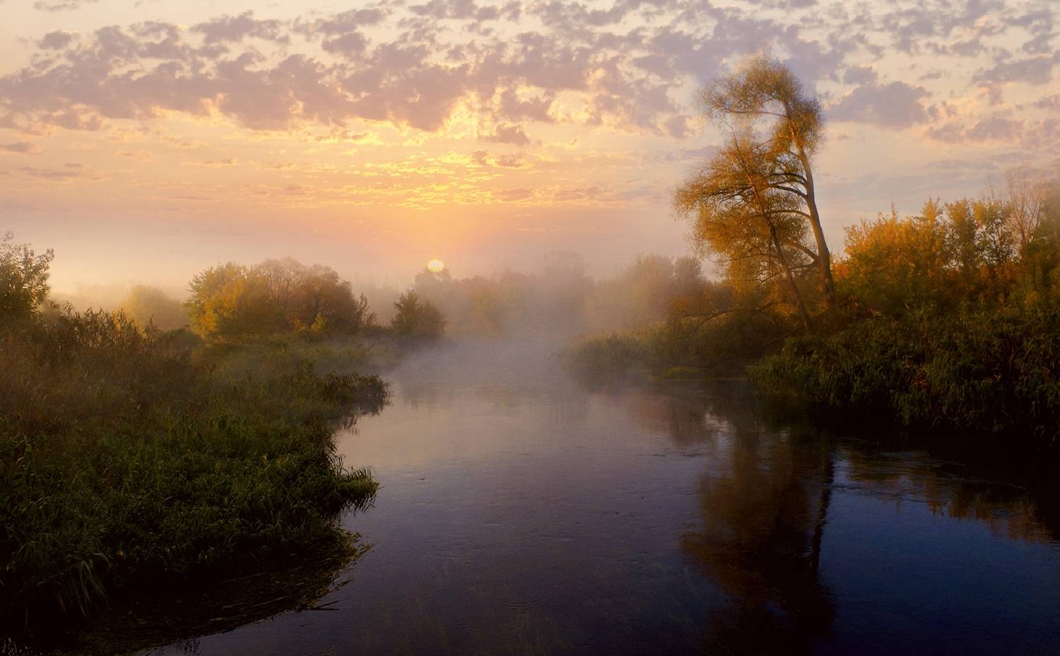 природа, Валерий Черняк