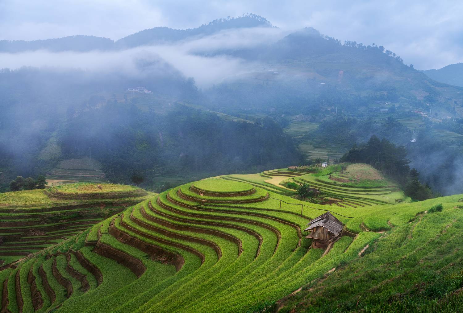 вьетнам, му кан чай, провинция, лао кай, рис, рисовое, поле, терраса, рисовые, террасы, холм, деревня, горы, осень, азия, vietnam, mu cang chai, province, lao cai, rice, paddy, paddies, field, hill, mountain, traditional, hut, terrace, terraces, autumn, Эрнест Вахеди
