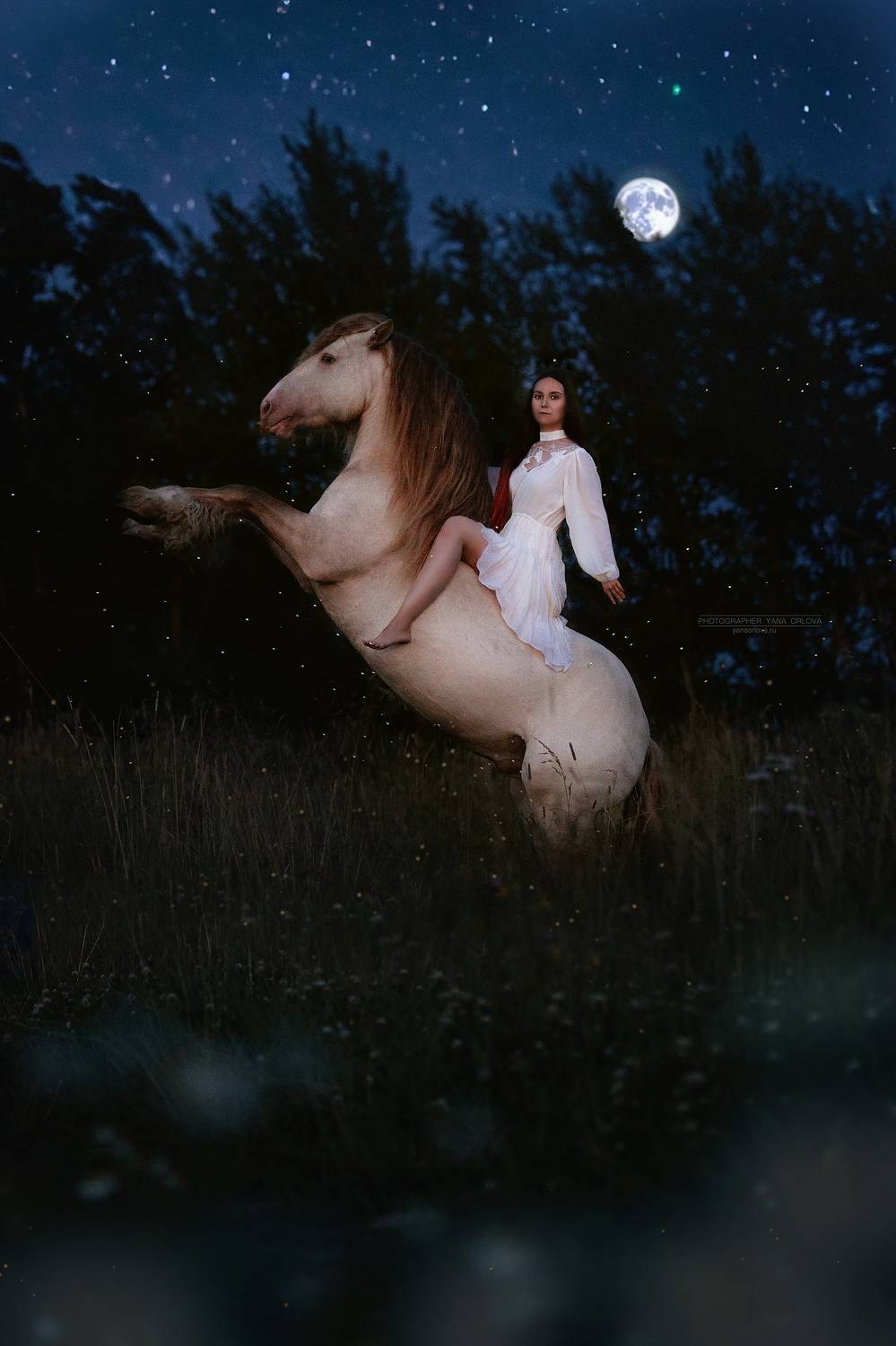 horse, horses, лошадь, конь, конныйфотограф, кэнон, canon, 7020028, лошади, фотографияслошадью, конный фотограф Яна Орлова, фотосессияслошадью, фотосессиислошадьми, коннаяфотография, pferd, horsephotographer, женский портрет, девушка , Яна Орлова