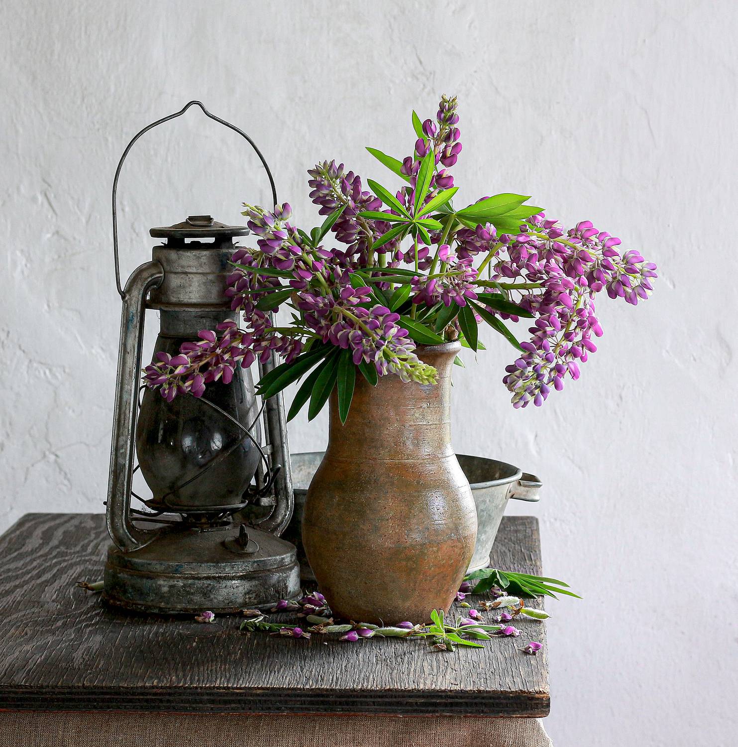 , Наталья Казанцева