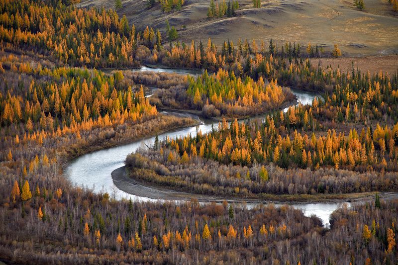 алтай, осень, река Изгибы осенней реки фото превью