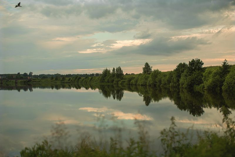 Тишина фото превью