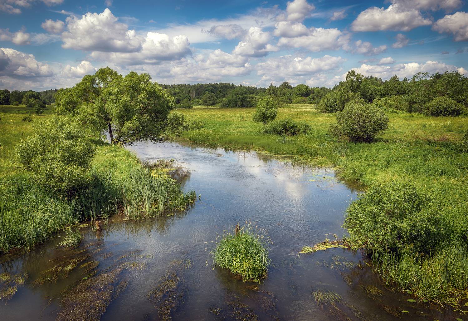 село Махра, Молокча, лес, Сергей Аникин