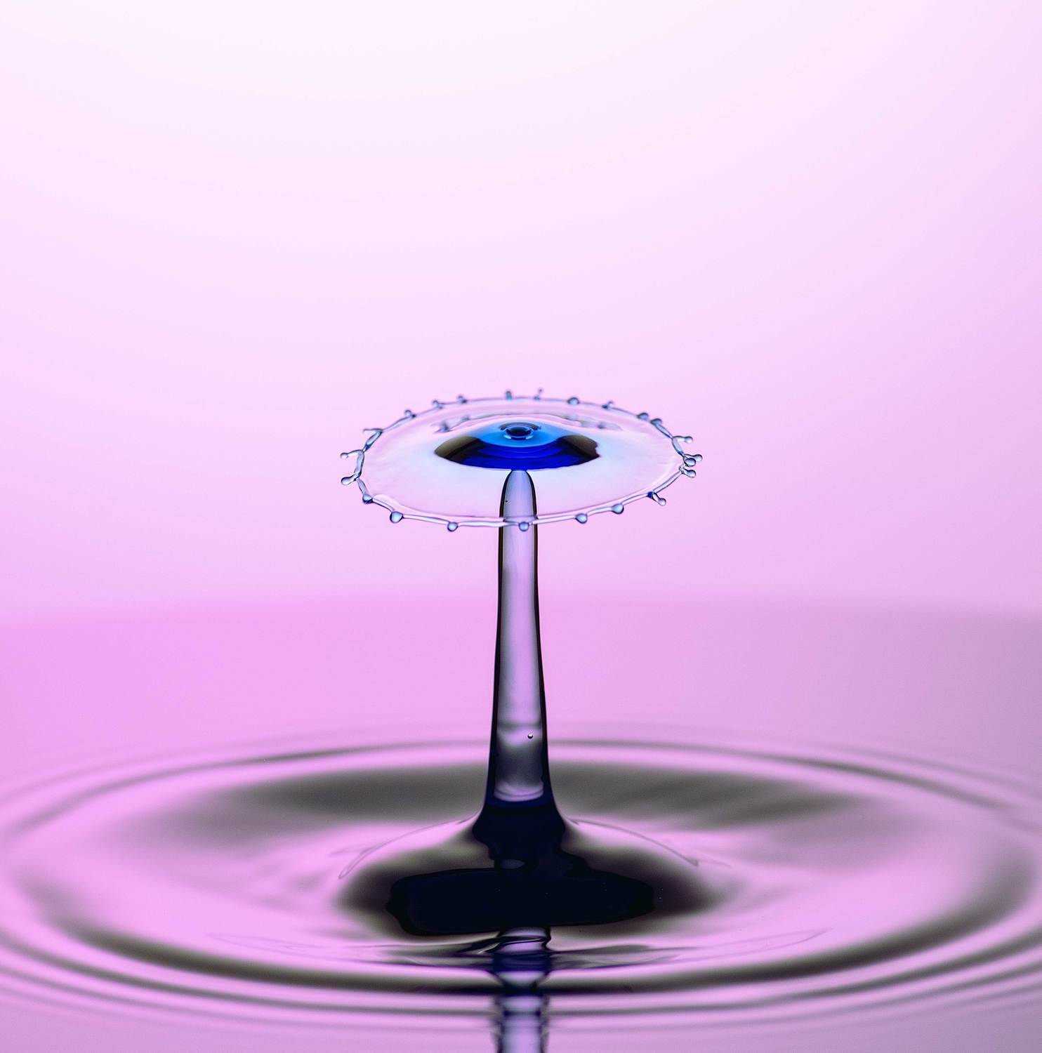 DROP,DROPS,DROPLET,DROPLETS,WATER DROP,WATER DROPS,WATER,SPLASH,SPLASH ART,MACRO,CLOSE UP,CLOSE-UP,SPLASH PHOTOGRAPHY,SPLASING,NO PEOPLE,PURE,MOTION,REFLECTION,SIMPLE,SIMPLICITY,MINIMAL,MINIMALISM,MINIMALISTIC,WET,SPLASHING,STUDIO,BLUE,LIQUID,INDOOR,INDOO, YOUSEF SAYADI