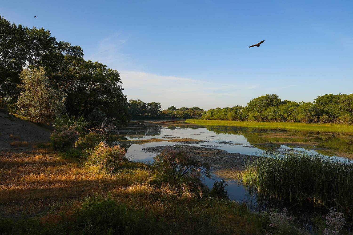 пейзаж,лето,сулак,утро,дагестан,, Magov Marat