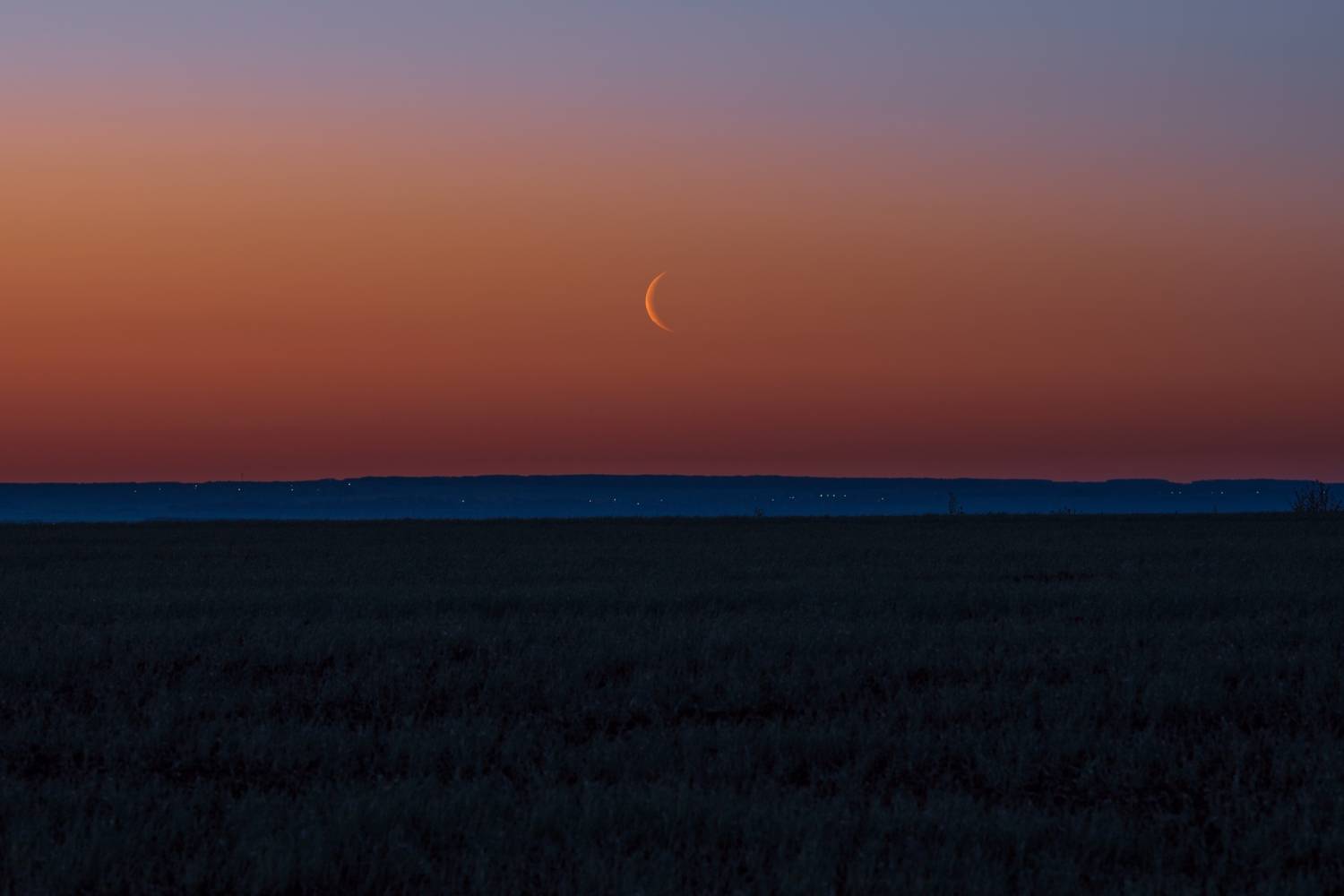, Константин Григорьев