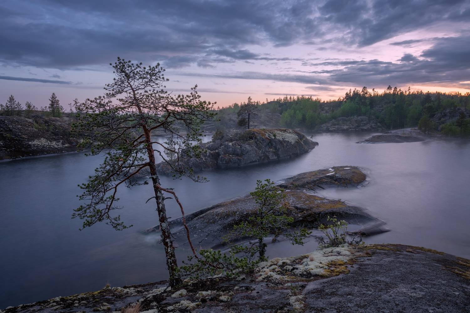 , Максим Евдокимов
