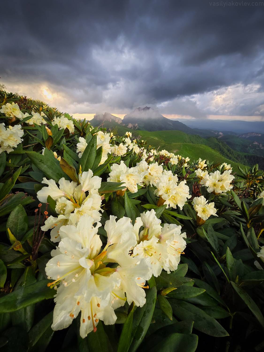 тхач, большой тхач, фототур, яковлевфототур, кавказ, адыгея, Василий Яковлев