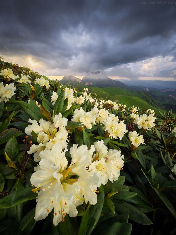 тхач, большой тхач, фототур, яковлевфототур, кавказ, адыгея Большой Тхач фото превью