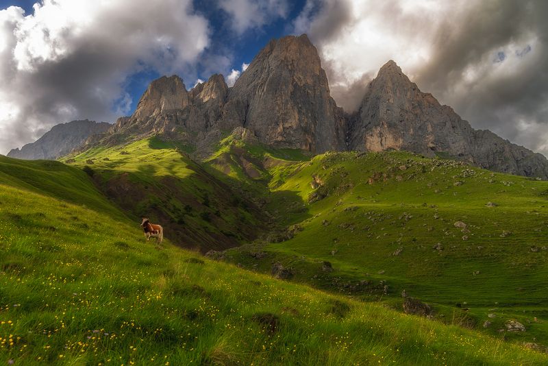 Цей-Лоам, респ. Ингушетия фото превью