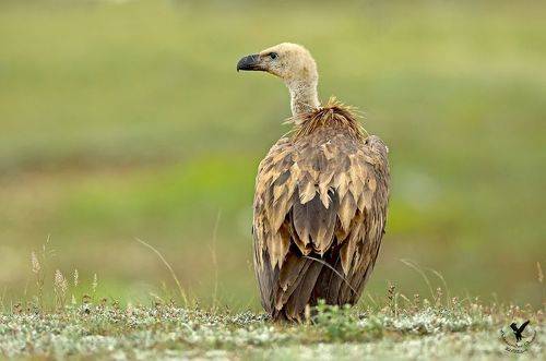 Одиночество.