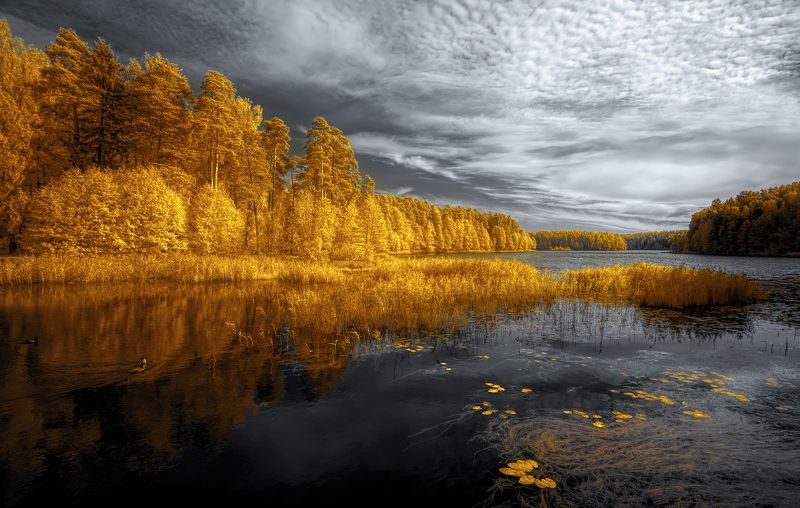 Осенний штиль фото превью