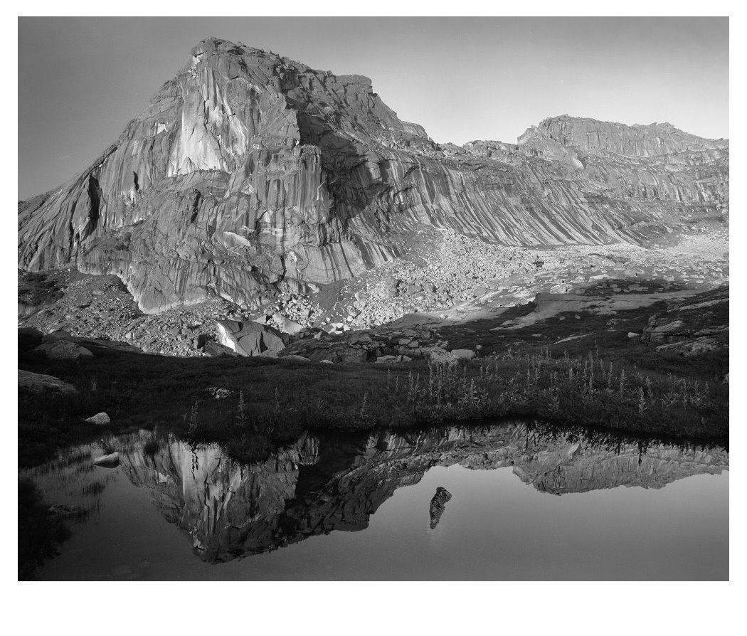 Пленка, Аркаша