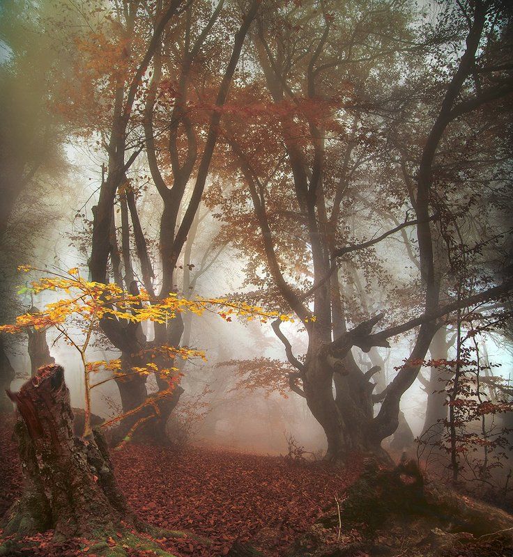 Крымская осень. фото превью