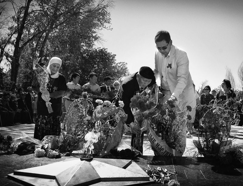 Из серии «Ветераны ВОВ». фото превью