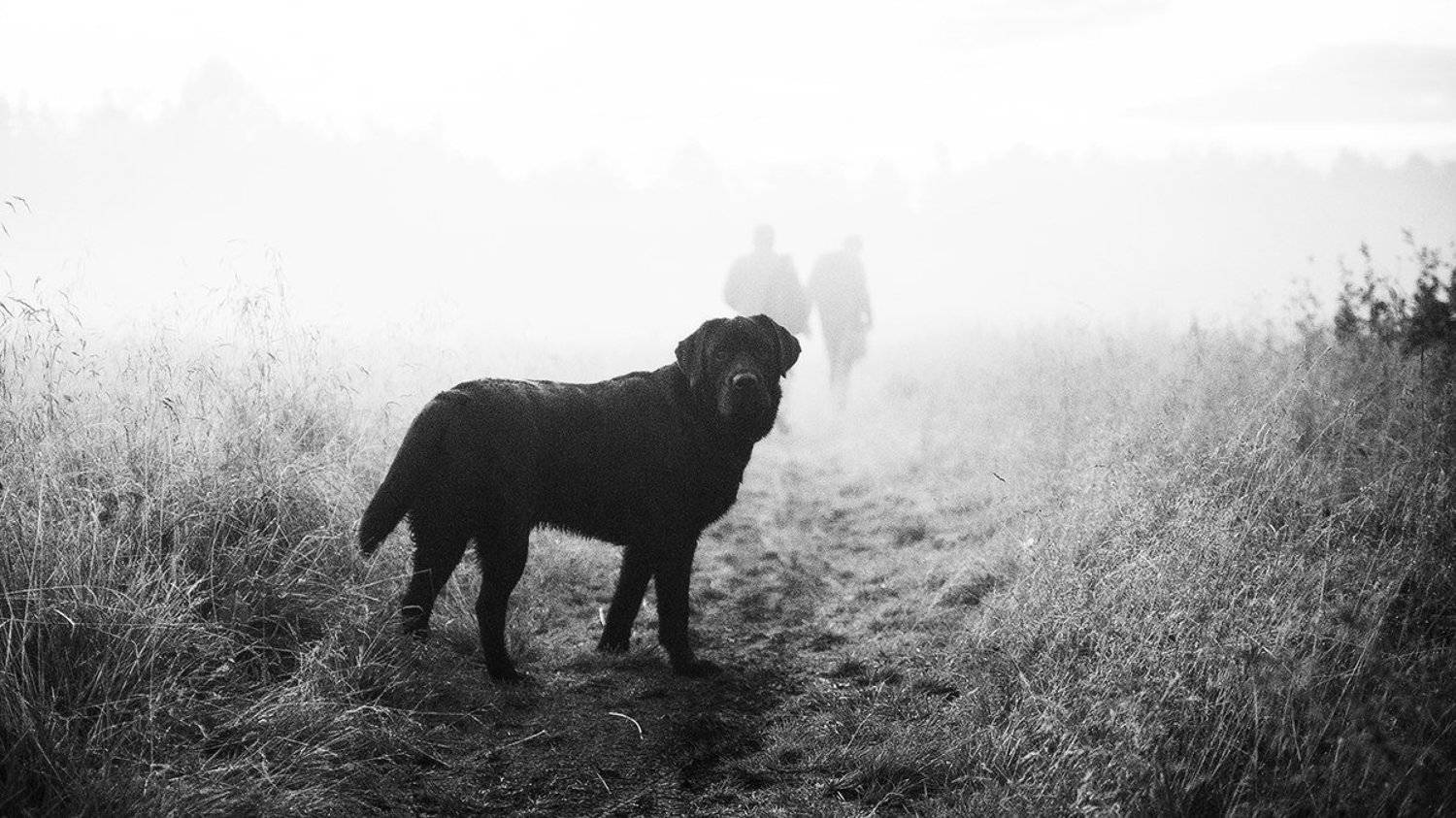 , Марина Сивакова