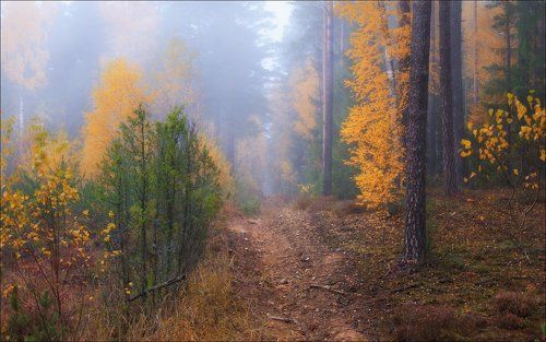 Осень