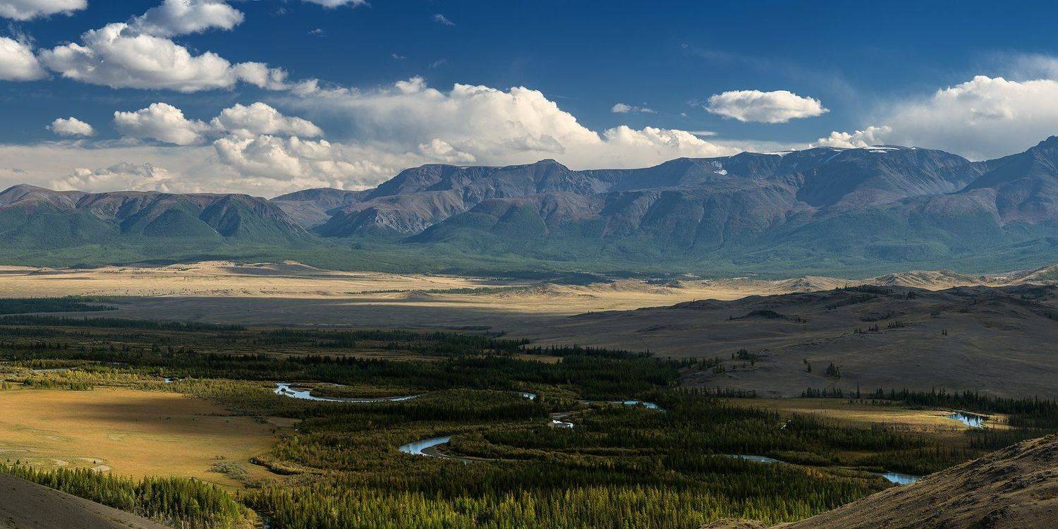 пейзаж, панорама, природа, красивая, широкий, высокий, большой, горы, вершины, хребет, Северо-Чуйский, Алтай, Сибирь, Чуя, река, долина, лес, степь, холмы, утро, раннее, желтый, зеленый, Дмитрий Антипов
