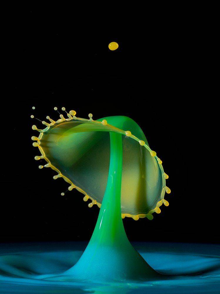 water,drop,waterdrop,splash,abstarct, mustafa yagci